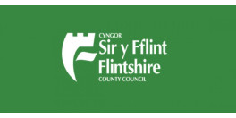 Flintshire Council 1100x500